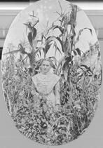 SA0172 - Jennie Mathews is standing in a corn field. Photo identified on the back. See comment field for SA 0198.